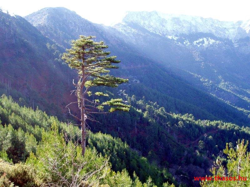Golden Beach, hegyek